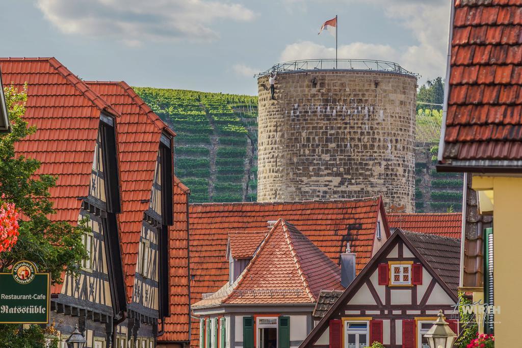 Apartment Am Schlosshof بيزيغهايم المظهر الخارجي الصورة